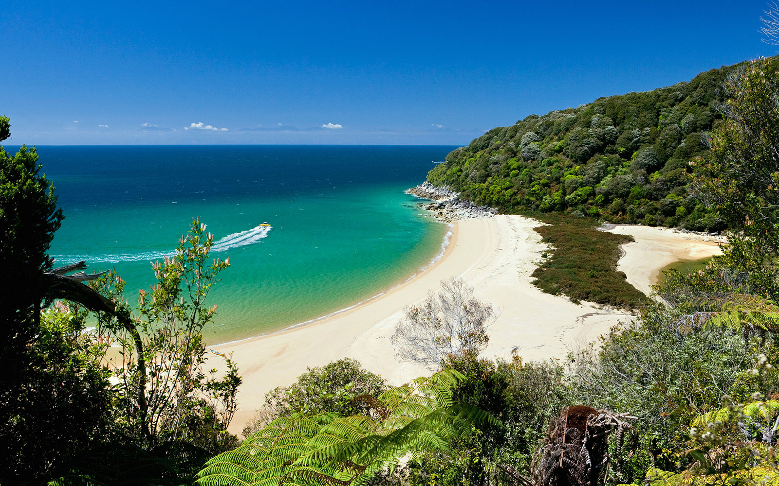 New Zealand, South Island, Abel Tasman National Park. - 1redDrop